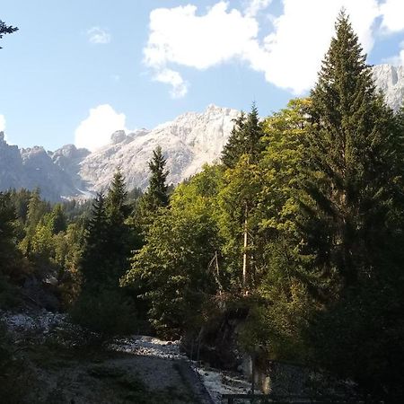 Appartmenthaus Hochkoenig Mühlbach am Hochkönig المظهر الخارجي الصورة