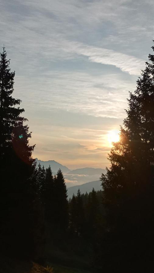 Appartmenthaus Hochkoenig Mühlbach am Hochkönig المظهر الخارجي الصورة