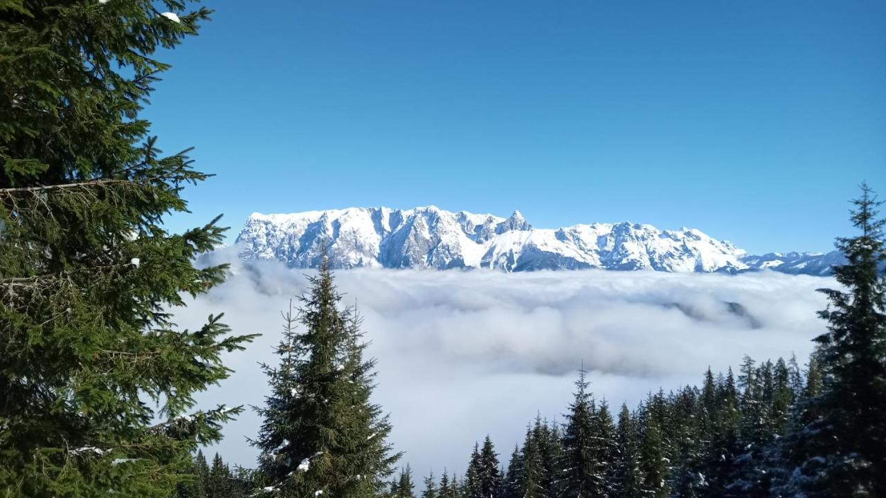 Appartmenthaus Hochkoenig Mühlbach am Hochkönig المظهر الخارجي الصورة