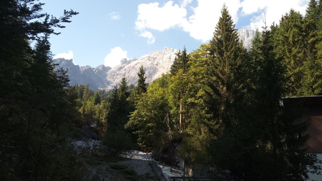 Appartmenthaus Hochkoenig Mühlbach am Hochkönig المظهر الخارجي الصورة