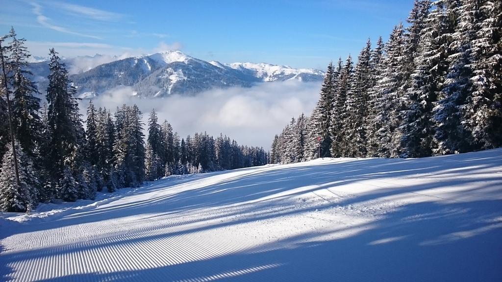 Appartmenthaus Hochkoenig Mühlbach am Hochkönig المظهر الخارجي الصورة