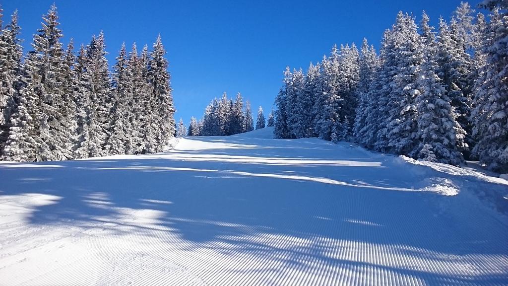 Appartmenthaus Hochkoenig Mühlbach am Hochkönig المظهر الخارجي الصورة