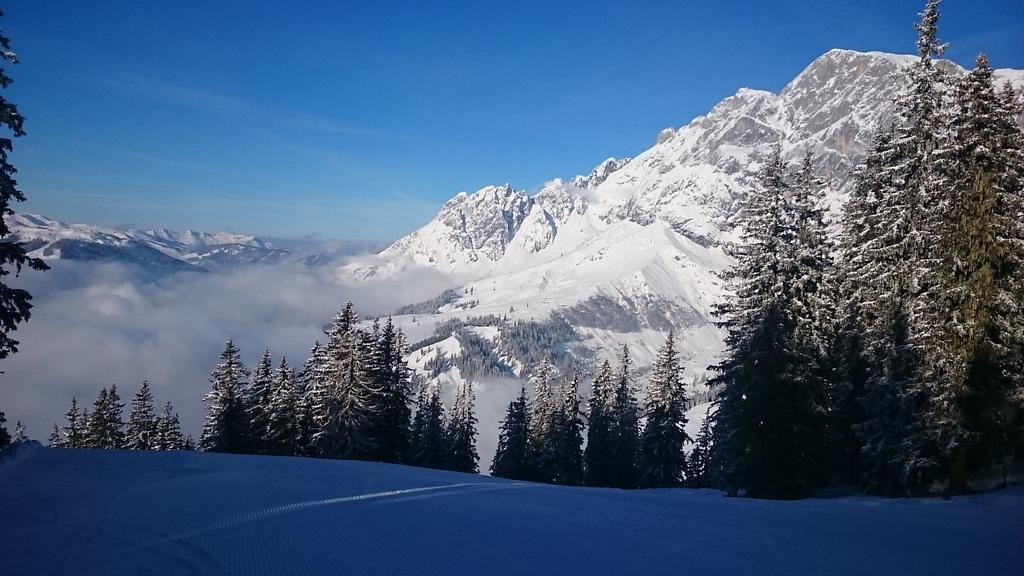 Appartmenthaus Hochkoenig Mühlbach am Hochkönig المظهر الخارجي الصورة
