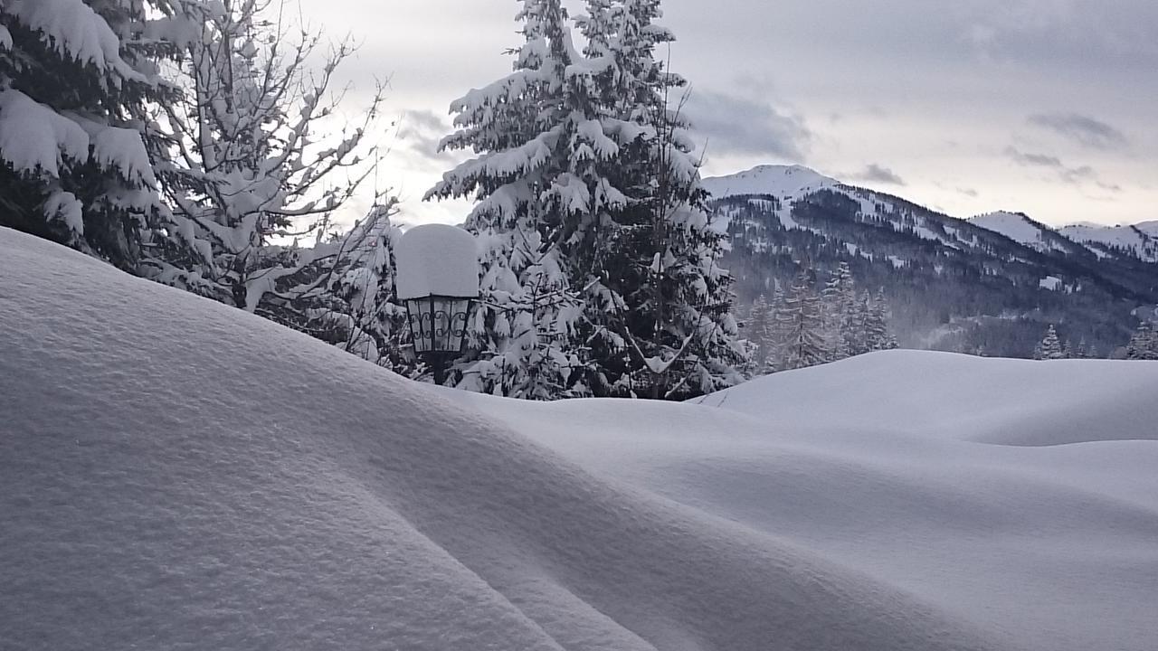 Appartmenthaus Hochkoenig Mühlbach am Hochkönig المظهر الخارجي الصورة