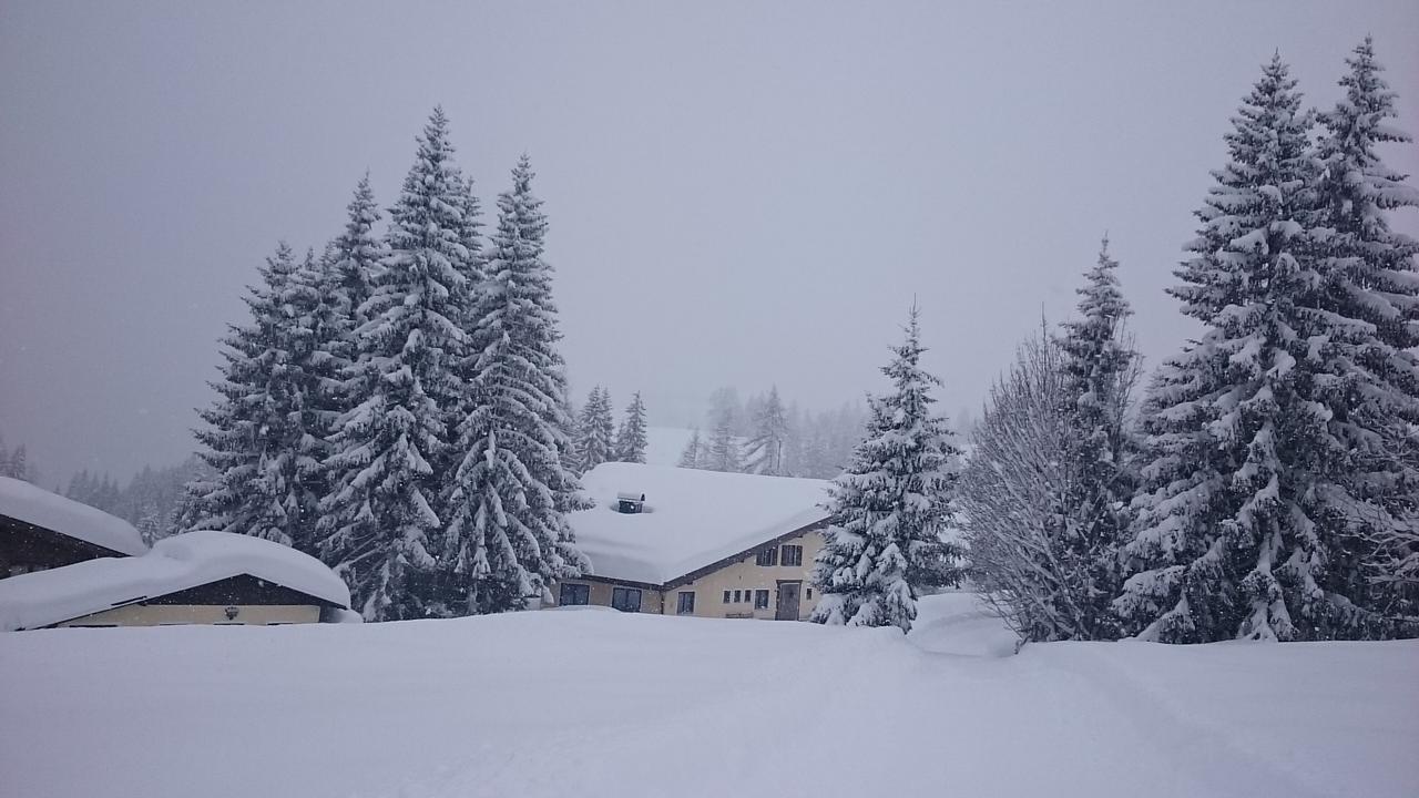 Appartmenthaus Hochkoenig Mühlbach am Hochkönig المظهر الخارجي الصورة