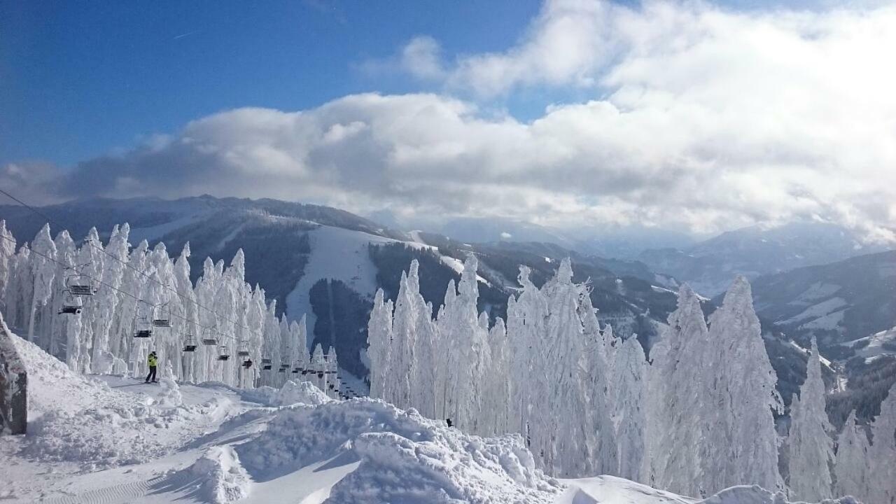 Appartmenthaus Hochkoenig Mühlbach am Hochkönig المظهر الخارجي الصورة