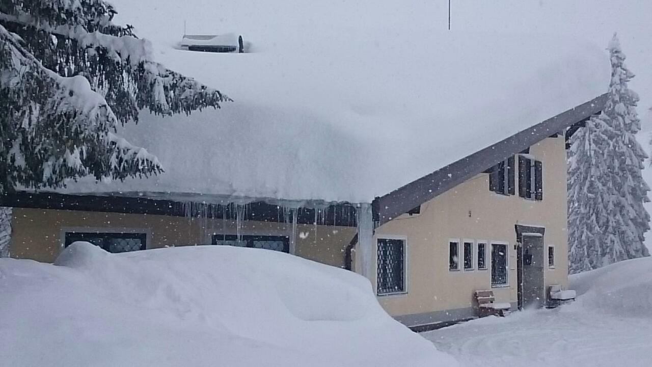 Appartmenthaus Hochkoenig Mühlbach am Hochkönig المظهر الخارجي الصورة