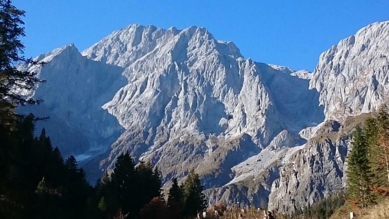 Appartmenthaus Hochkoenig Mühlbach am Hochkönig المظهر الخارجي الصورة